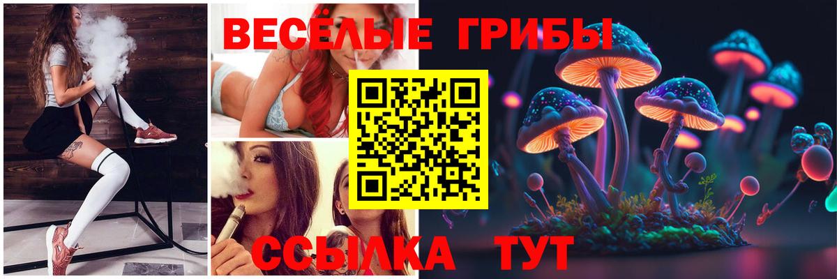 Псилоцибиновые грибы Psilocybe  Вход с VPN  Грозный 